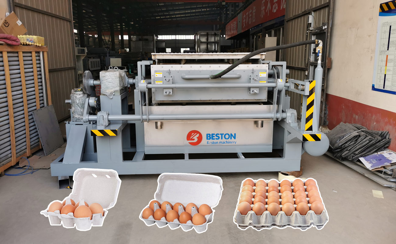 Beston Egg Tray Making Machine for Sale